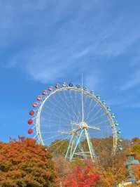 愛寶樂園野生動物園世界