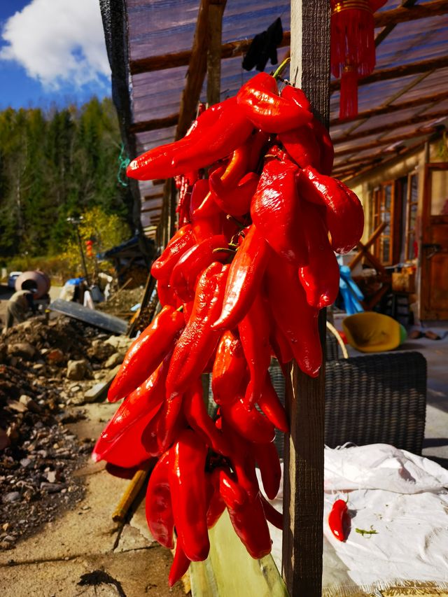 長白最美曬秋古村落：錦州木屋村