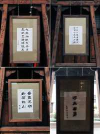發現上海|真如寺真的好,就是鴿子shi太多咯