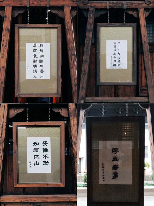 發現上海|真如寺真的好,就是鴿子shi太多咯 發現上海|真如寺真的好,就是鴿子shi太多咯