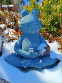 十五年一遇的雪與海與懷舊的民宿的兩天