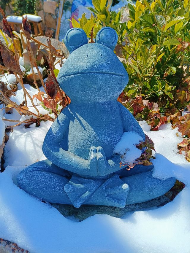 十五年一遇的雪與海與懷舊的民宿的兩天