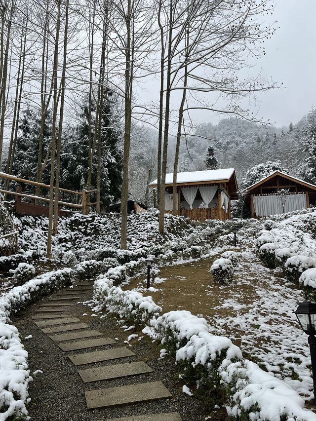 才退房下次還來！邊泡湯邊賞雪好不浪漫