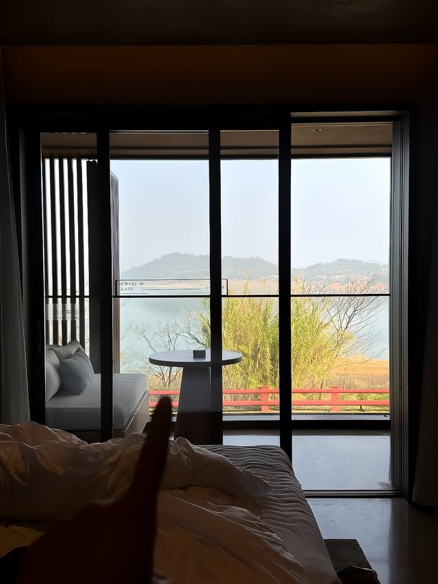 東江湖這家酒店也太好住了趴值得一來！！！！