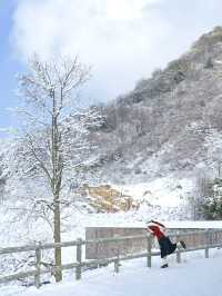 成都周邊2h九皇山耍雪一日遊！！附攻略