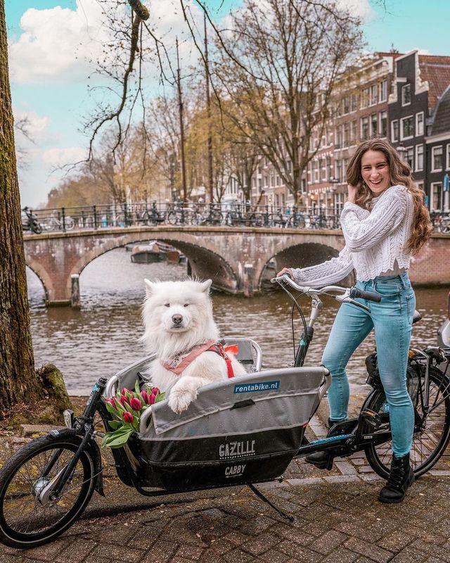 10 things to do in Amsterdam & the surroundings 🇳🇱🌷
