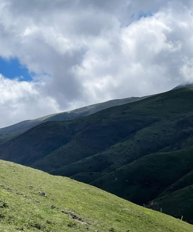 大海草山｜遇見山海