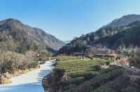 英山大別山