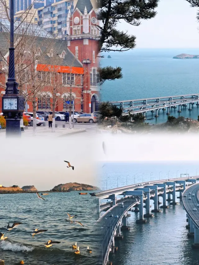 Romantic City | Dalian is waiting for you