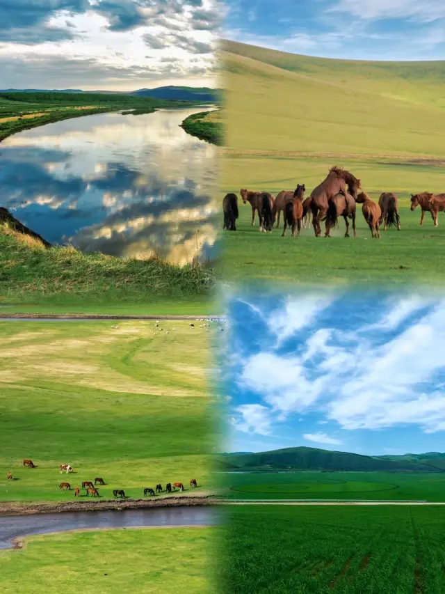 Hulunbuir Summer Journey|Frolicking on the grasslands is truly joyful