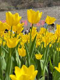 3月16日 | 寶泉一日遊