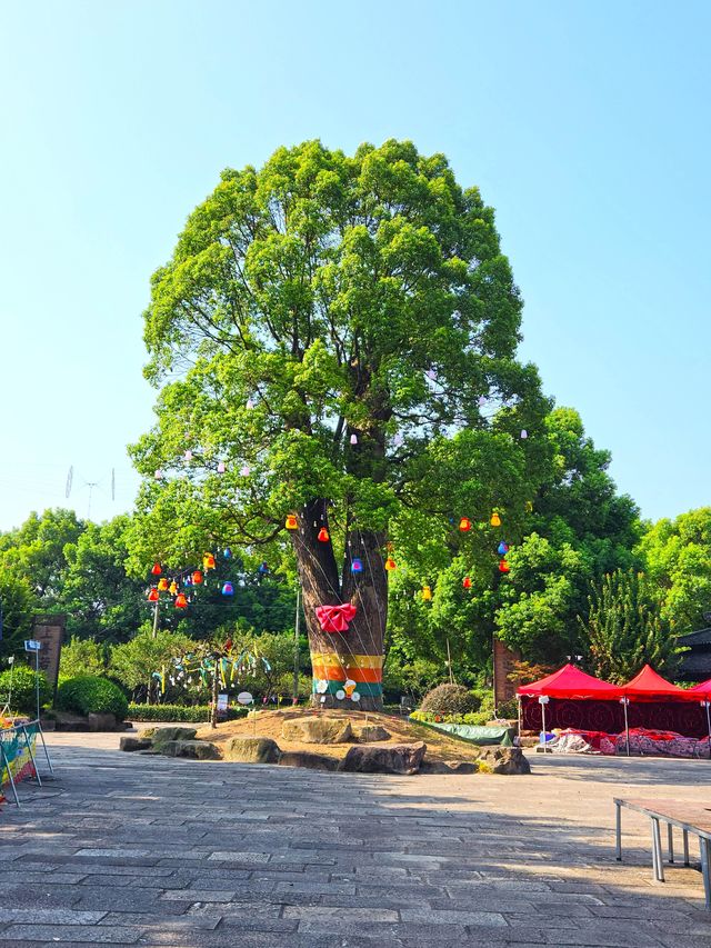 馬橋農民造公園，美麗韓香水博園