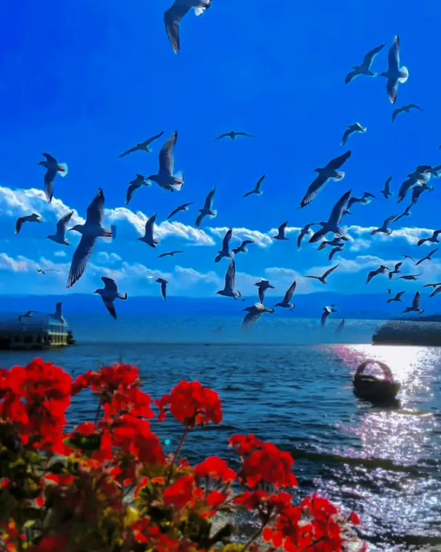 This is the true meaning of a live picture – the scenery of Erhai Lake in Dali