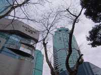 上海徐匯區citywalk攻略來啦