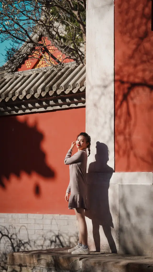 How to take photos of the magnolia flowers at Wanshou Temple with fewer people and more flowers?