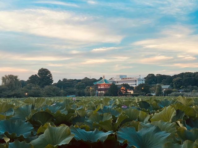 睹日本天皇神殿-千代田遊記