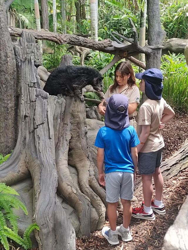 澳大利亞動物園