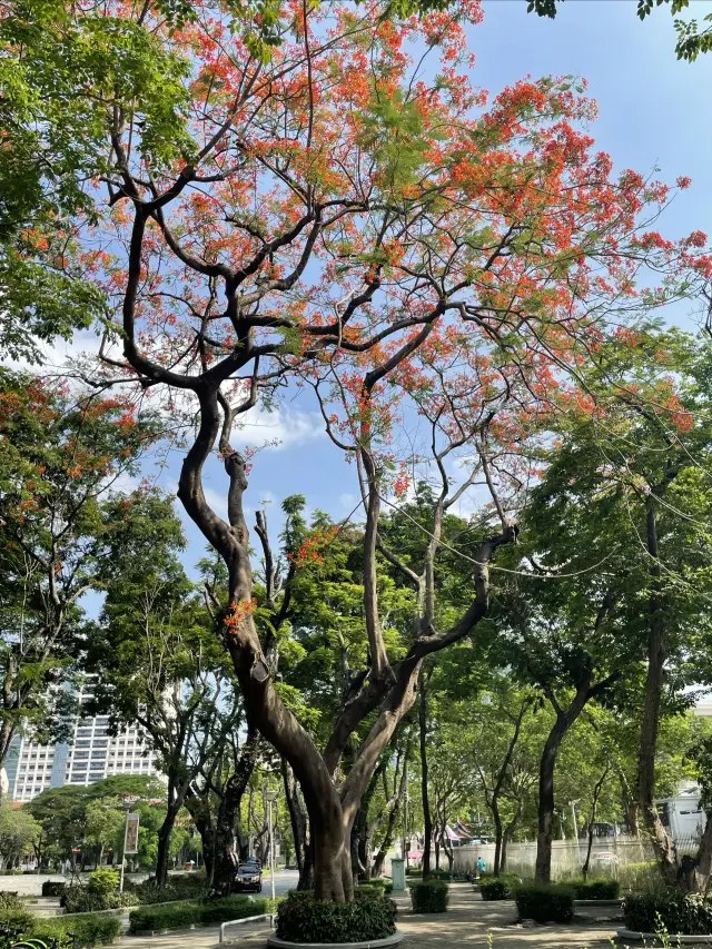 Half-day tour of Chulalongkorn University in Bangkok, chance encounter with a handsome guy