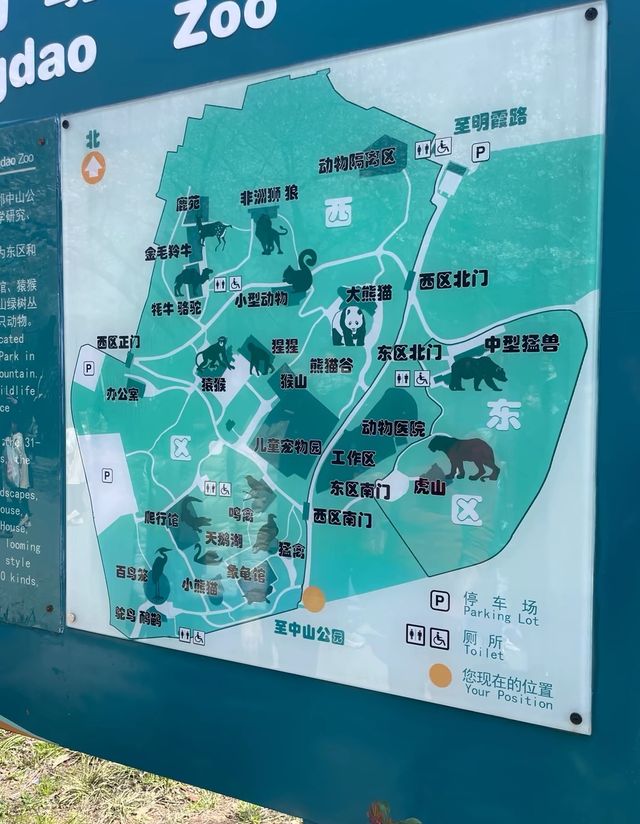 青島中山公園每年一度賞花季旅遊攻略