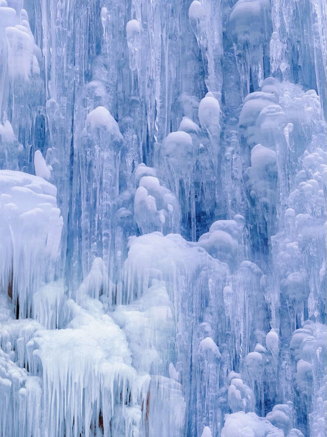 救命！是全西安人都去這裡看雪了嗎？周末去哪兒？