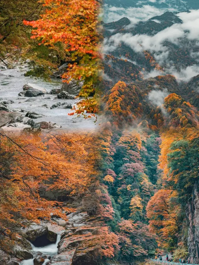 No photography enthusiast can resist the allure of autumn scenery