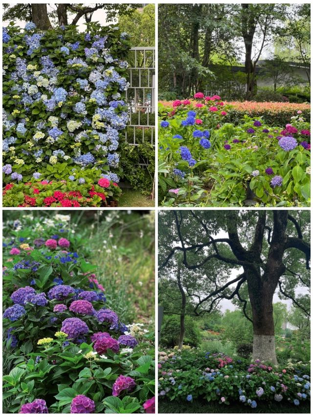 遇見綠島公園，城市中的童話世界