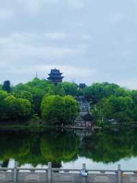 帶孩子就來秀湖公園