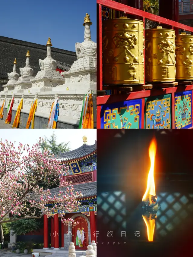 Should you possess but a single day in Xi'an, I would advocate for your visit to