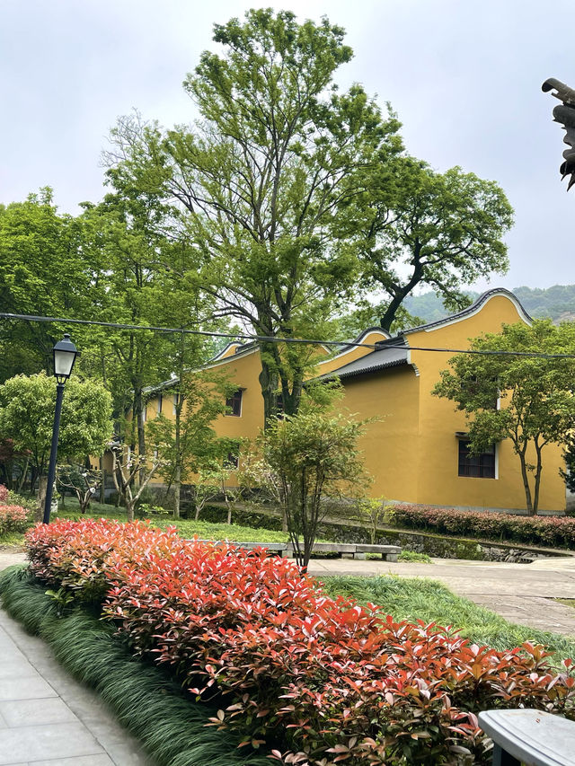 佛教禪宗名剎 阿育王寺 寧波