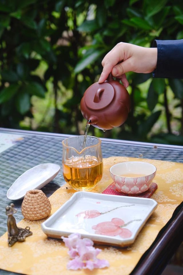 赴約常熟清涼寺百年楸樹開花