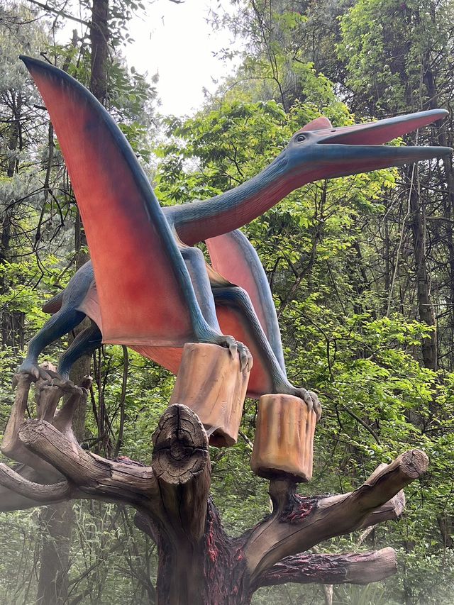 貴陽森林野生動物園一日遊