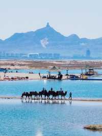 烏海夏日旅遊｜沙漠裡玩水上項目 坐船打卡網紅枯樹