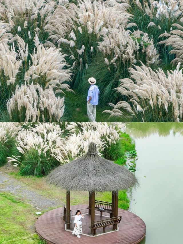 江蘇高郵，一個被低估的小眾旅行目的地|||