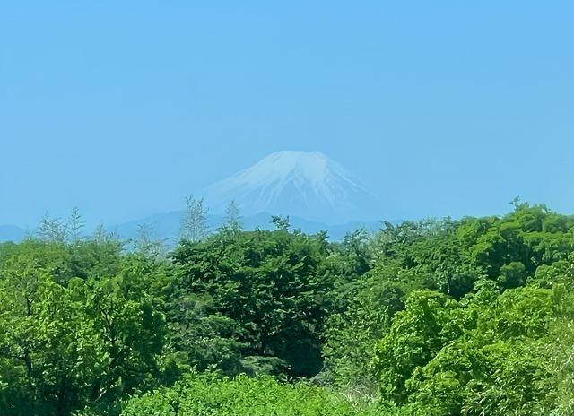 不愧是日本三大名泉之一，草津溫泉兩日泡湯記～