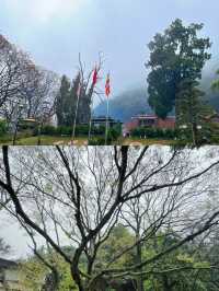 梅州上古歷史寺廟|靈光寺