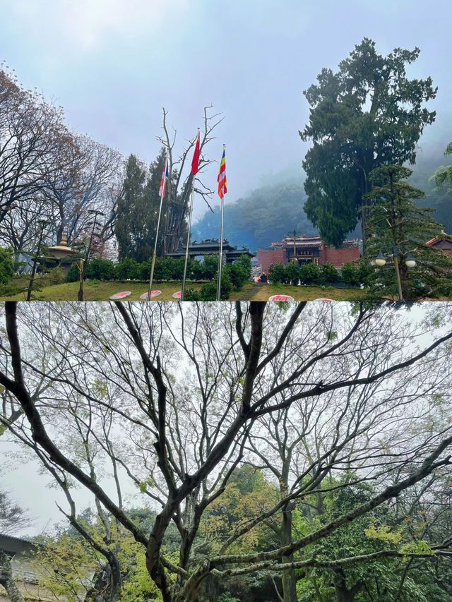 梅州上古歷史寺廟|靈光寺