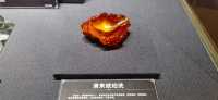 天津博物館之瞬間與永恆-波蘭琥珀文化藝術展
