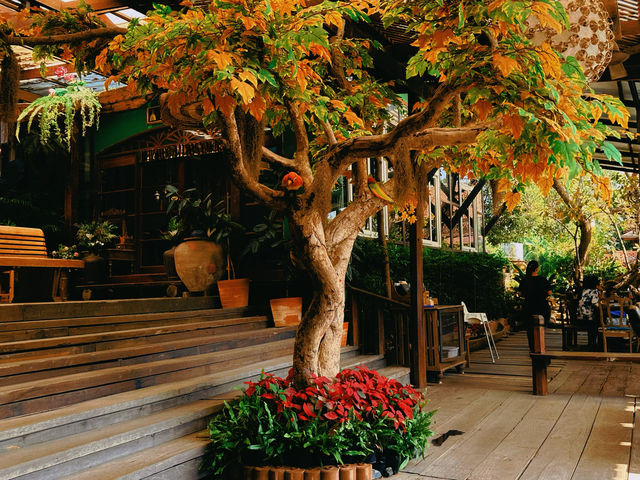 Ayutthaya Retreat คาเฟ่สไตล์ไทยๆที่อยุธยา