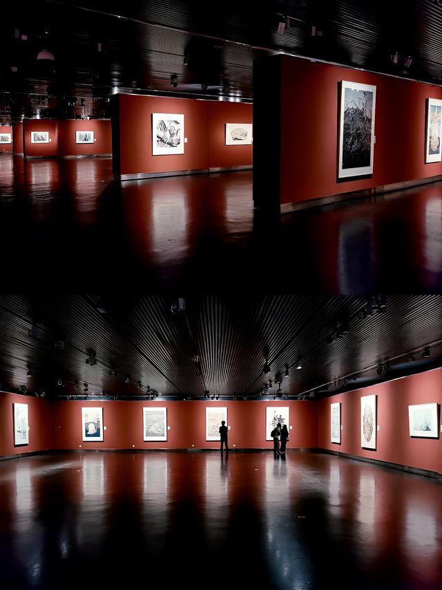 南京夏日避暑好去處—去江蘇省美術新老館看展