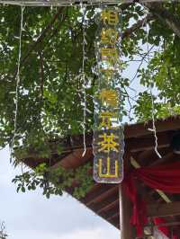 美麗的霞葛司下茶山夜市