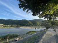 京都夏季苔綠之行