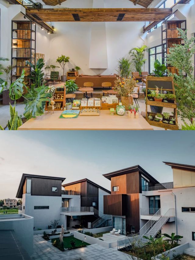 暑假·樹蛙部落我不愛學習，除非大自然教我