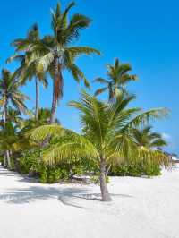 🌴🏖️ Maldives Magic: Luxe Island Escapes! 🌟