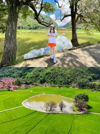 雲南夏日遊，芒見，再忙也要相見