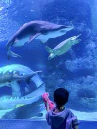長風公園海洋世界竟然有個海馬酒店