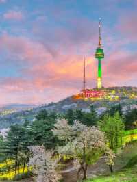 🌟 Seoul's Top Spots: Culture, Thrills & Views! 🏯🎢🌆