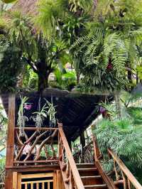 太原植物園，真不愧為天王嫂“昆凌”打卡的地方