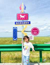 後悔沒早點來99號公路