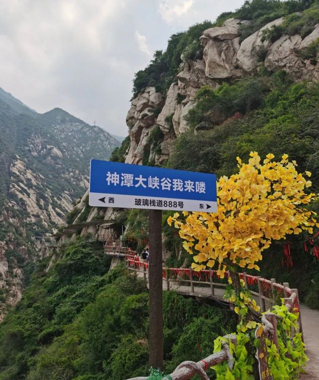 我踩過的雷，大家別踩了！神潭大峽谷避坑全攻略！