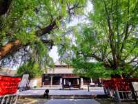 報恩禪寺